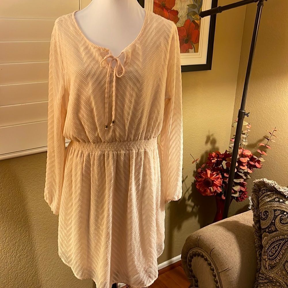 Daniel Rainn Peach Long Sleeve Sheerdress Size Xl